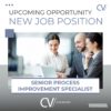 Proces improvement specialist- Internationaal